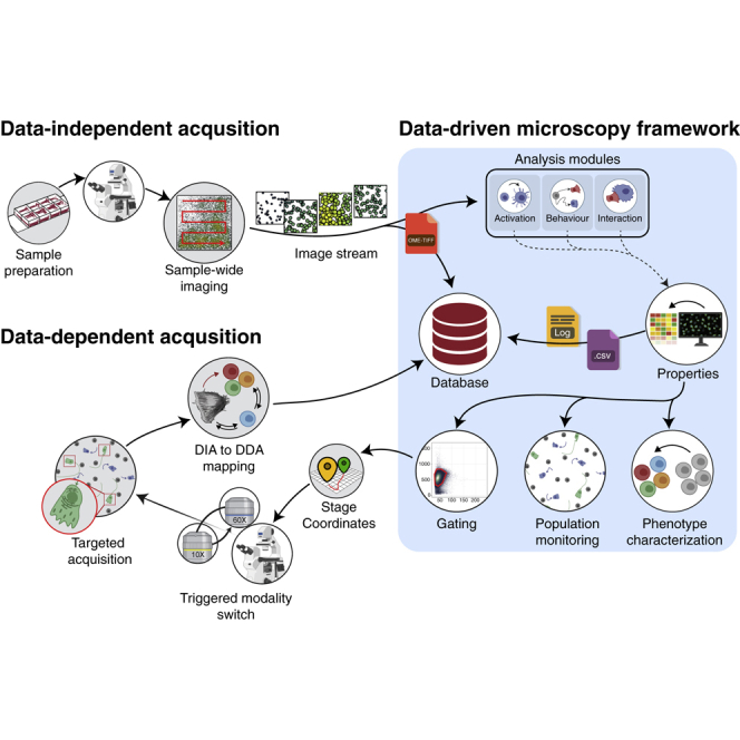 Visual abstract of the Data-Driven Microscopy paper